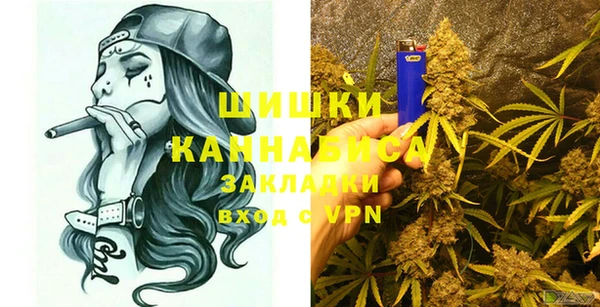 прущий лед Вяземский