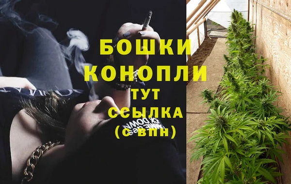 ГАЛЛЮЦИНОГЕННЫЕ ГРИБЫ Покров