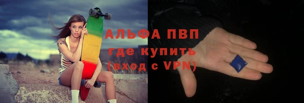 прущий лед Вяземский
