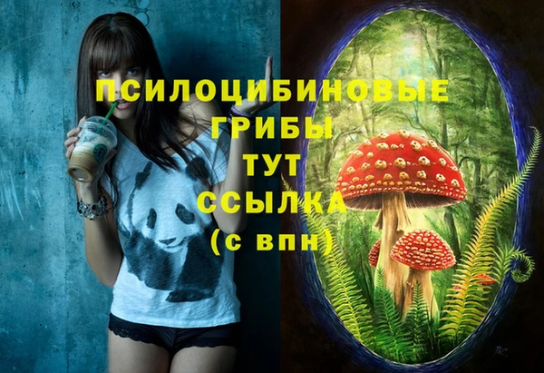 ГАЛЛЮЦИНОГЕННЫЕ ГРИБЫ Покров