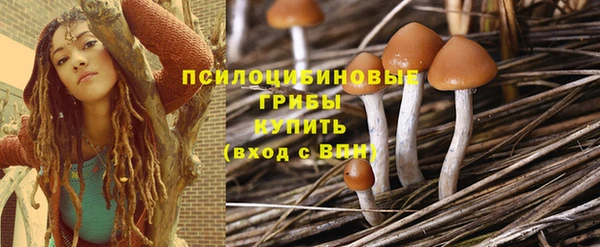 прущий лед Вяземский