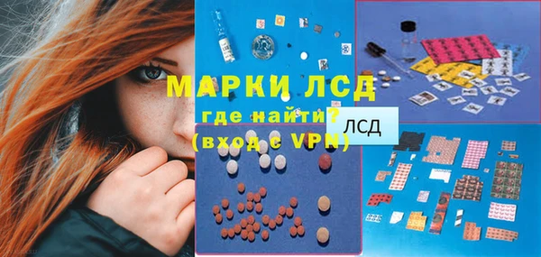 прущий лед Вяземский