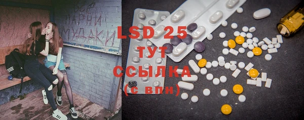 прущий лед Вяземский