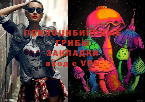 Альфа ПВП Гусь-Хрустальный