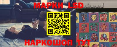 PSILOCYBIN Гатчина