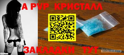 прущие грибы Гусев
