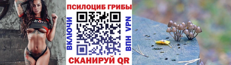Псилоцибиновые грибы Cubensis Воткинск
