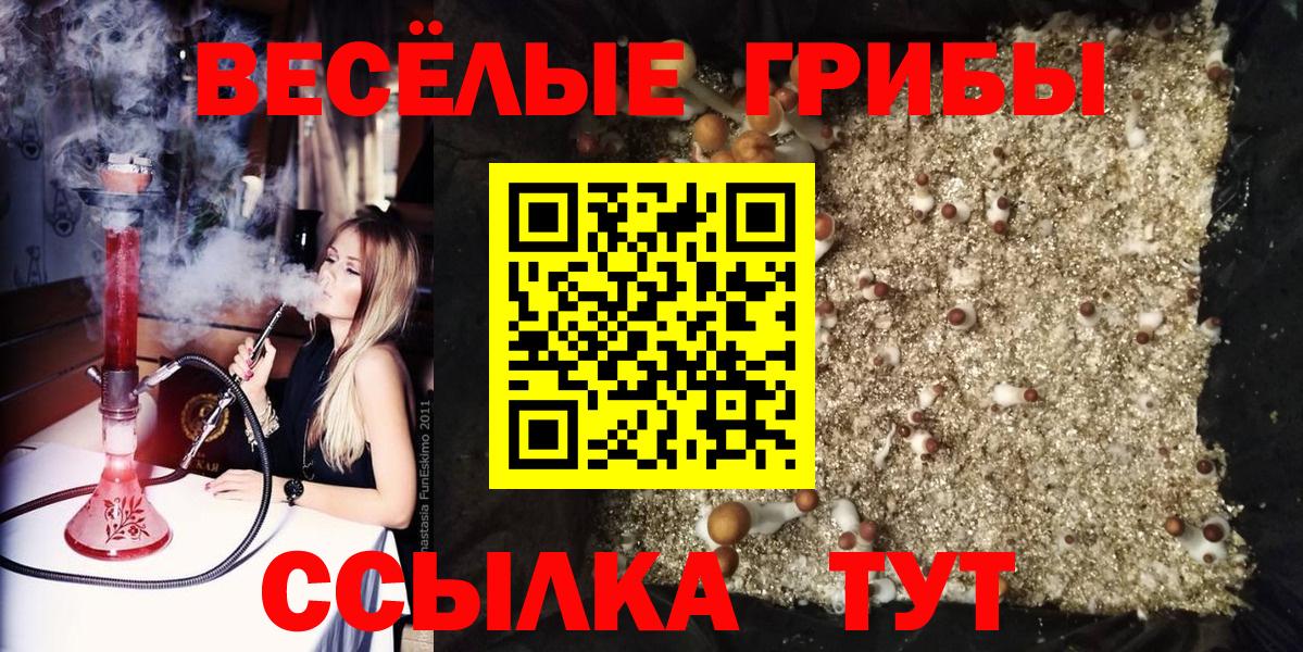 Псилоцибиновые грибы мухоморы  Псилоцибиновые грибы GOLDEN TEACHER  Воткинск 