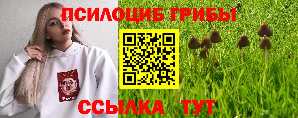 Псилоцибиновые грибы MAGIC MUSHROOMS  Псилоцибиновые грибы Magic Shrooms  Вход с VPN  Воткинск 
