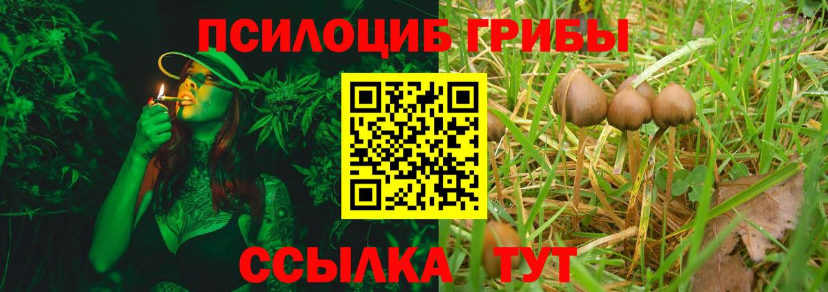 Галлюциногенные грибы Psilocybine cubensis Воткинск